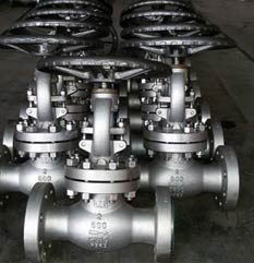 Duplex 2205 Globe Valve Duplex 2205 Globe Valve