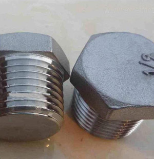 2205 Stainless Steel Hex Head Plug 2205 Stainless Steel Hex Head Plug