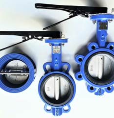 Duplex Steel Wafer Type Butterfly Valve