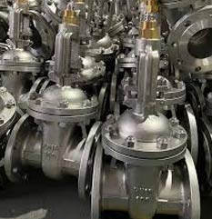 UNS S31803 Gate Valve