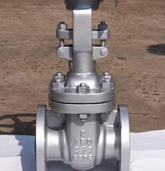 UNS S32205 F51 Gate Valve UNS S32205 F51 Gate Valve