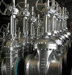 UNS S32205 Gate Valve