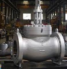 UNS S32205 Globe Valve